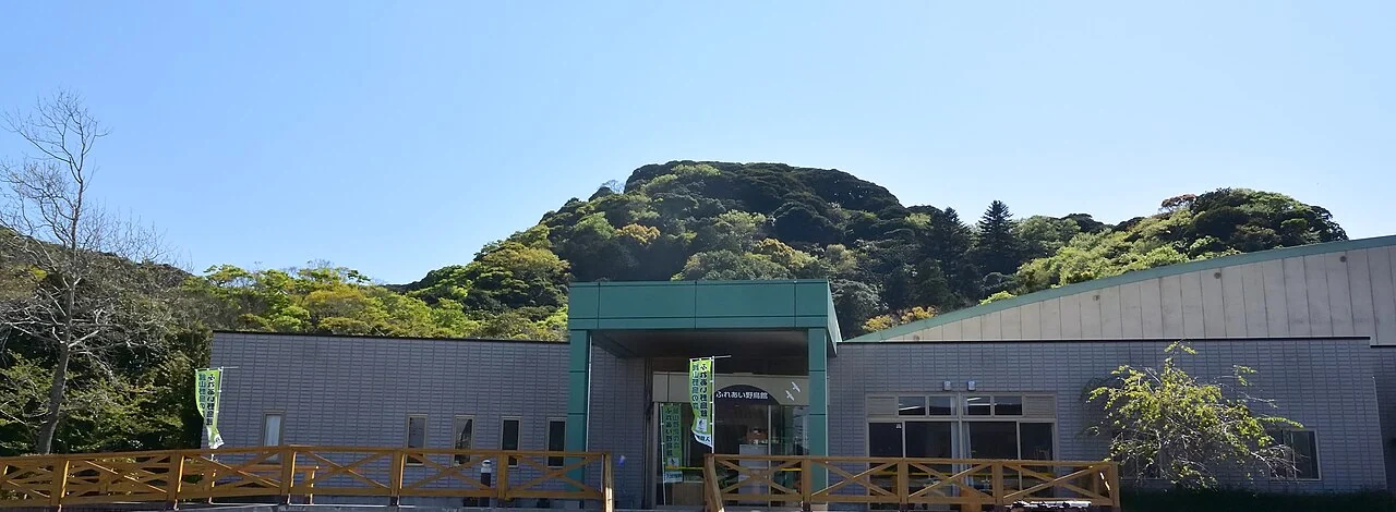 館山野鳥の森