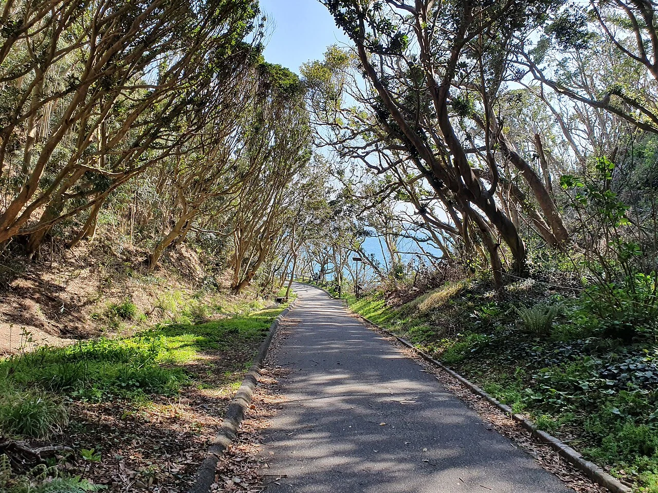大房岬自然公園の実際の風景
